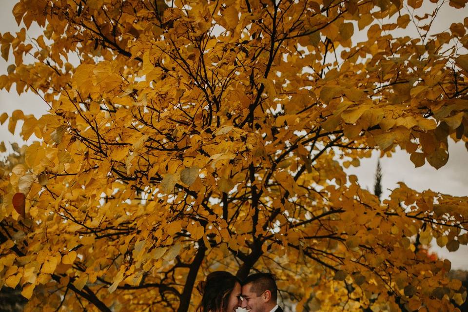 Elopement During Fall Time
