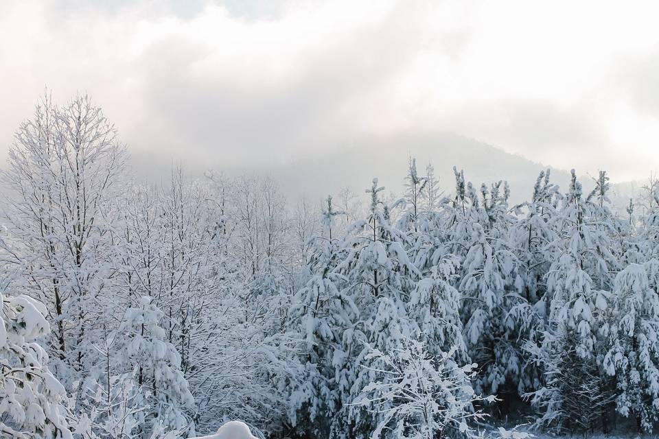 Beautiful Mtn. snow backdrop