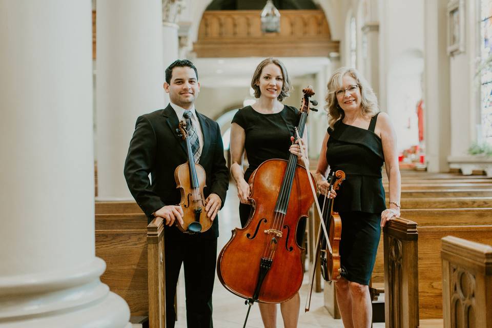 Vermilion strings trio together