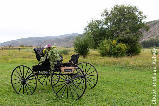 Carriage