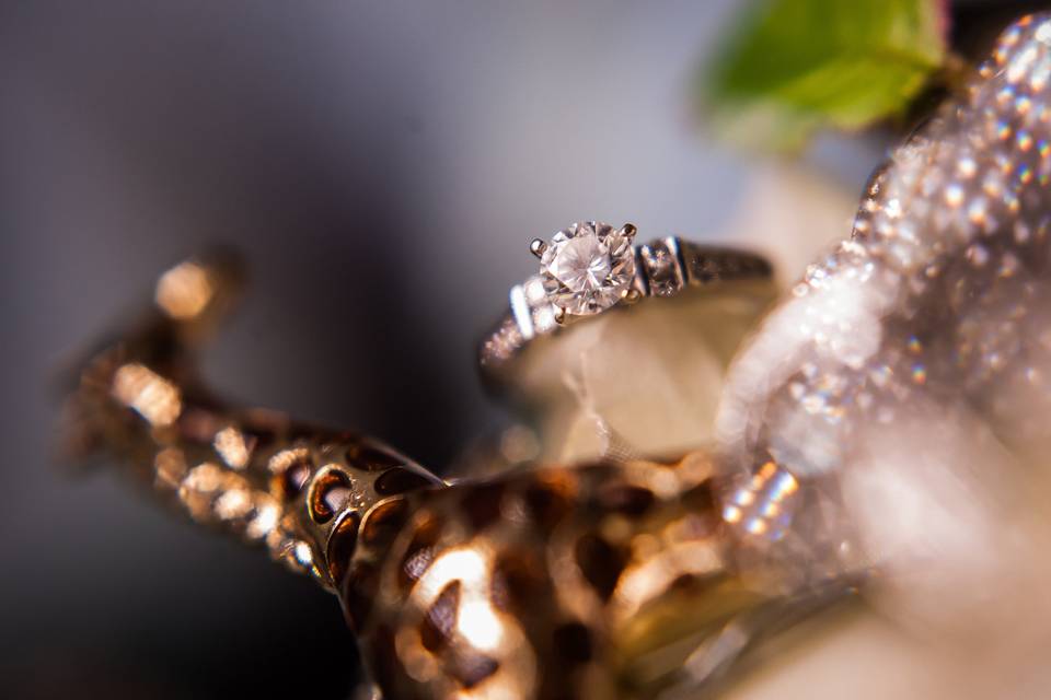 Closeup of rings - Kaylyn Ivy Photography