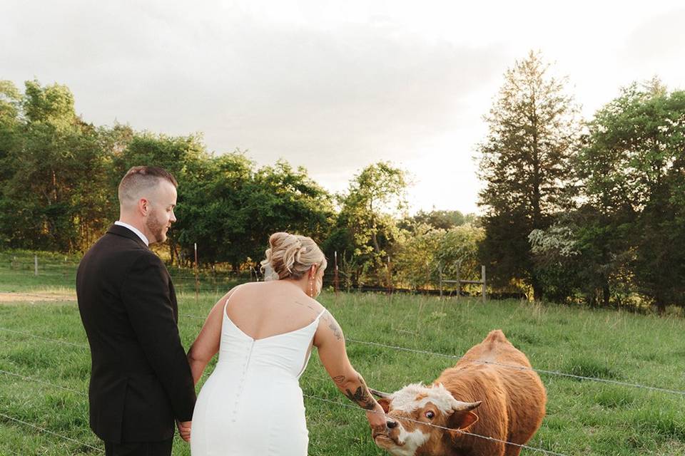 Farm wedding