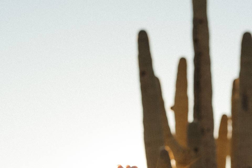 Desert engagement