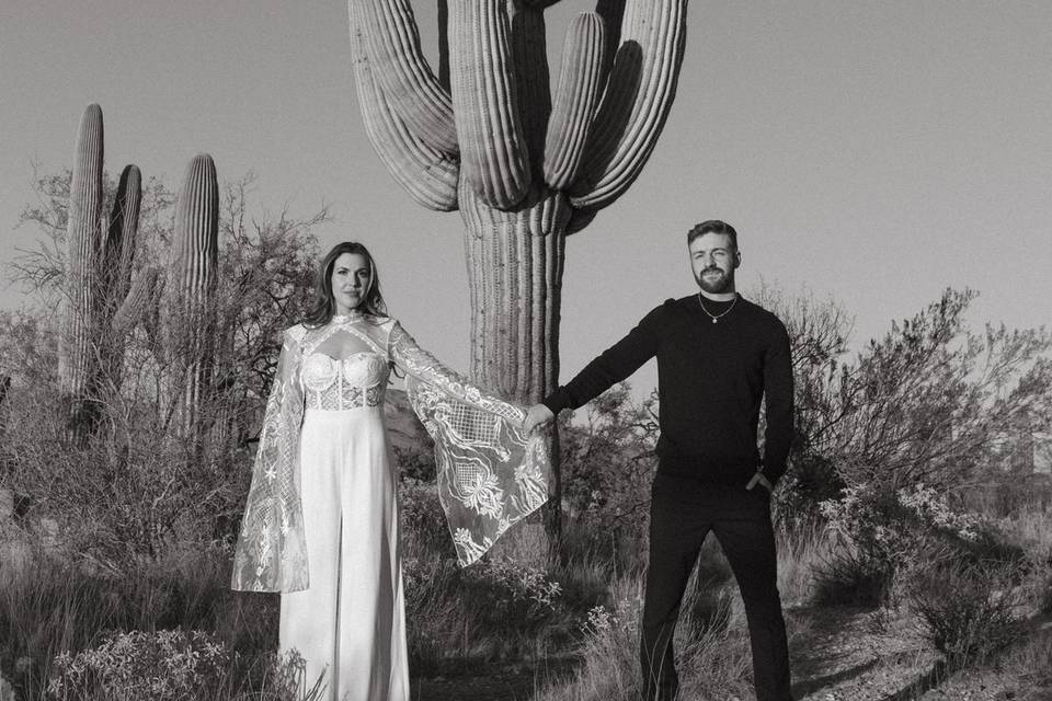 Desert engagement