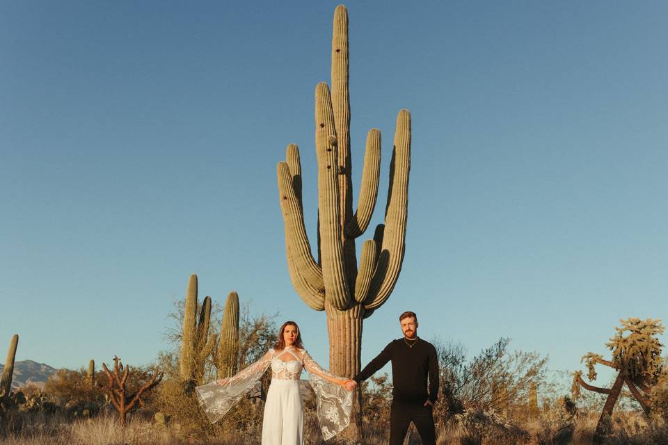 Desert engagement