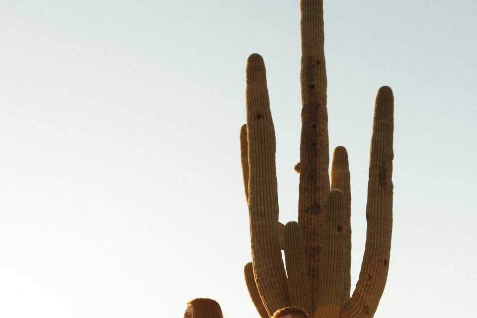 Desert engagement