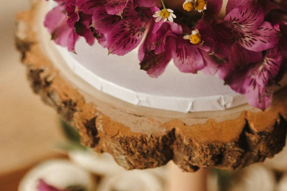 San Juan mountains elopement