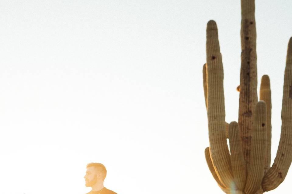 Desert engagement