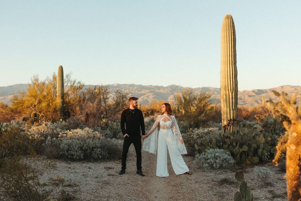 Desert engagement