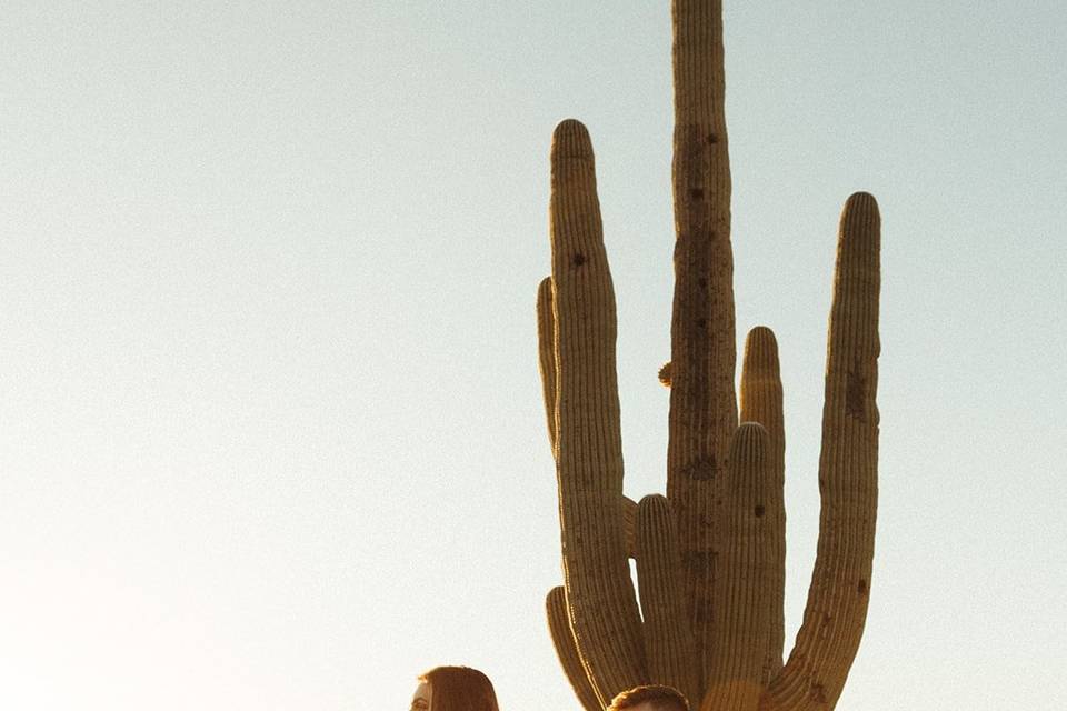 Desert elopement