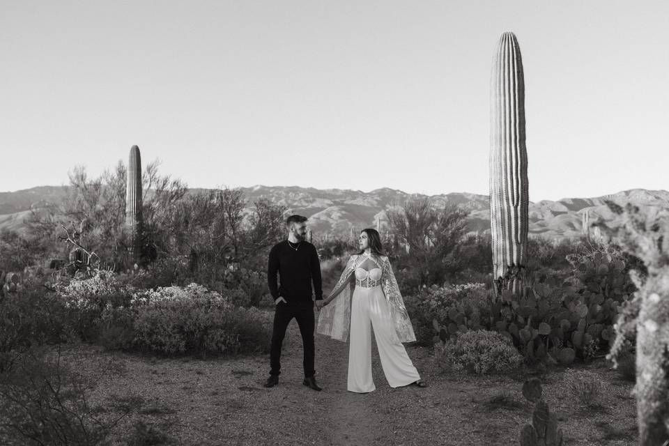Desert engagement