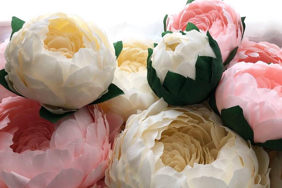 Pink and White giant peonies