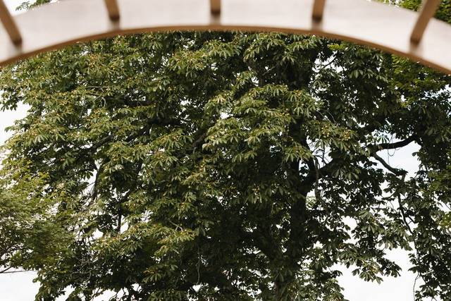 Hidden Garden Outdoor Ceremony