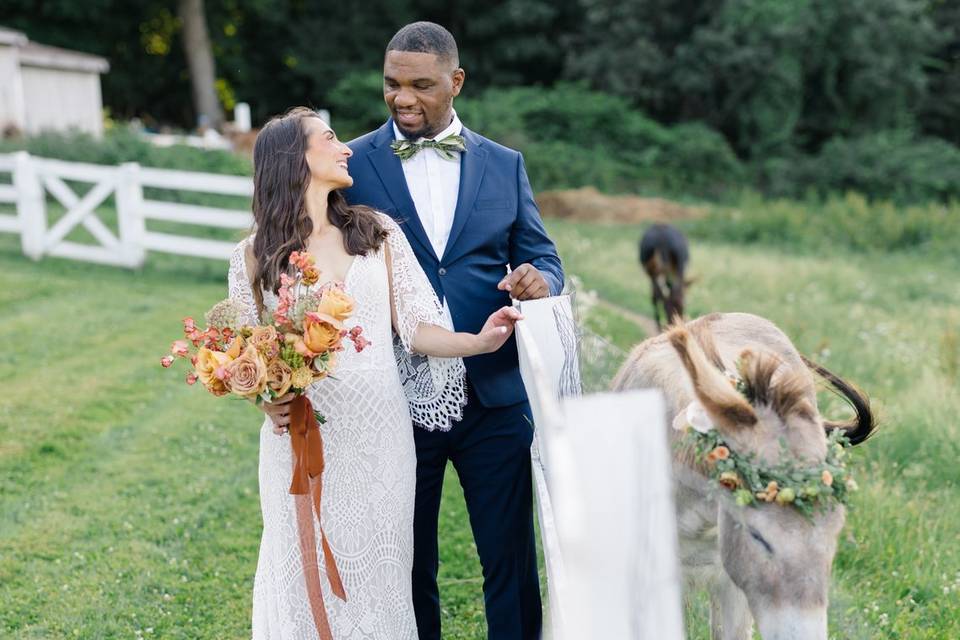 Couple with Donkey