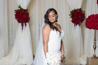 Elegant bride