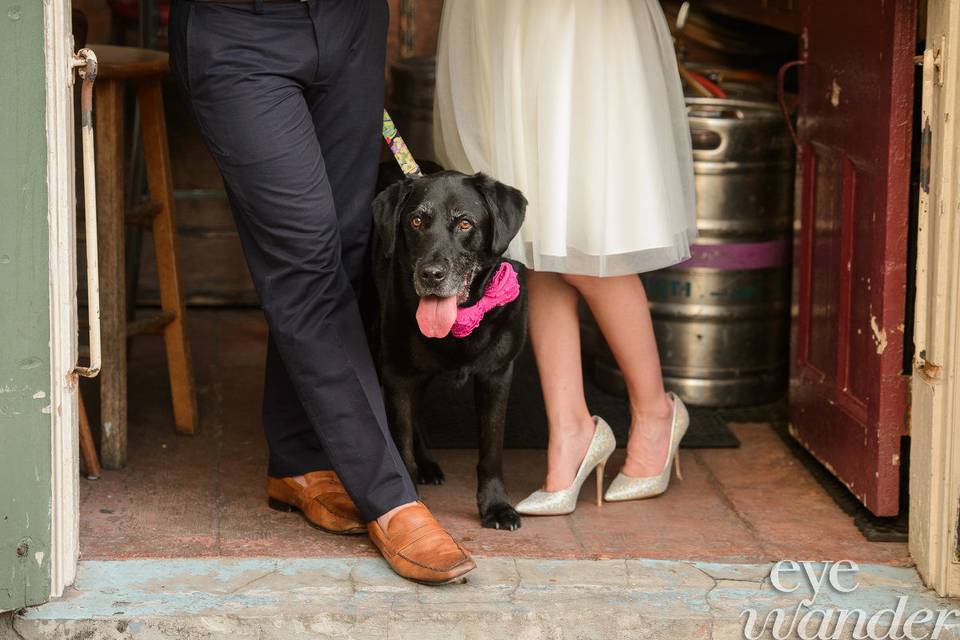 Engagement New Orleans