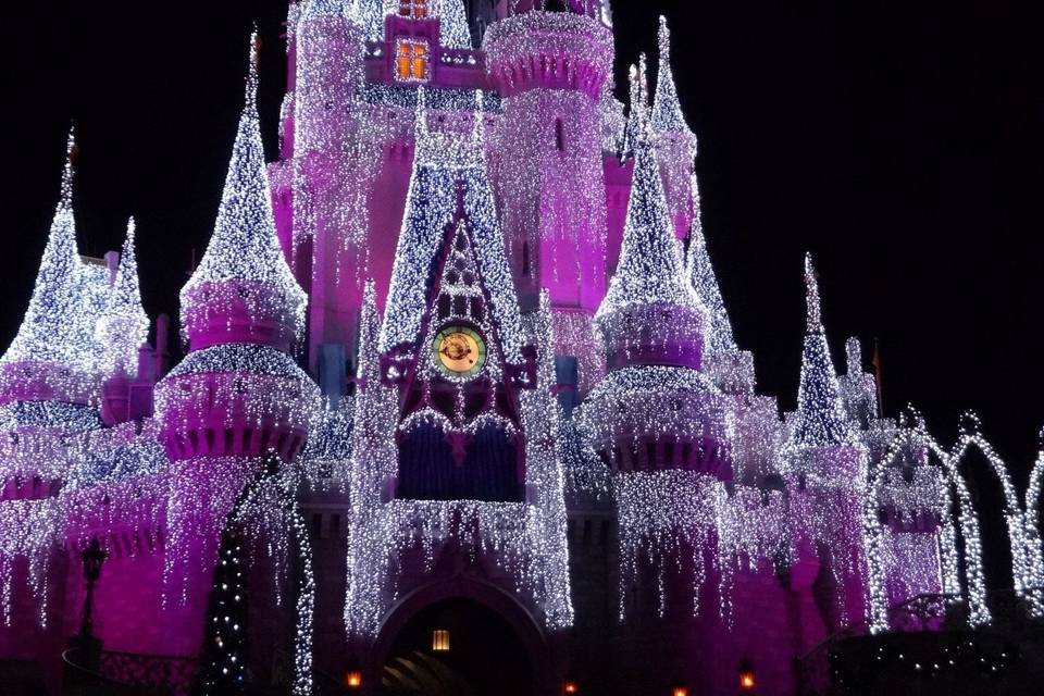 Walt Disney World