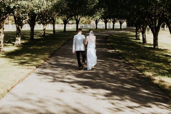 Long tree lined driveway