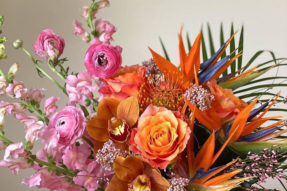 Summer Tropicals