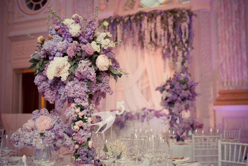 Tara m. Events