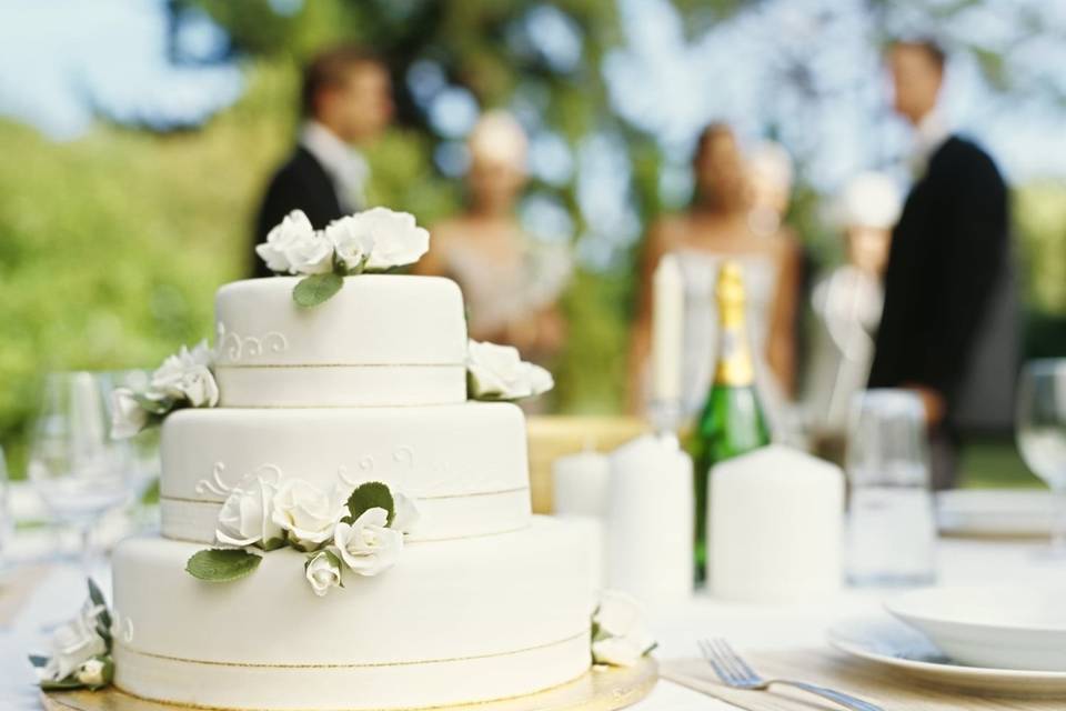 Tara m. Events
