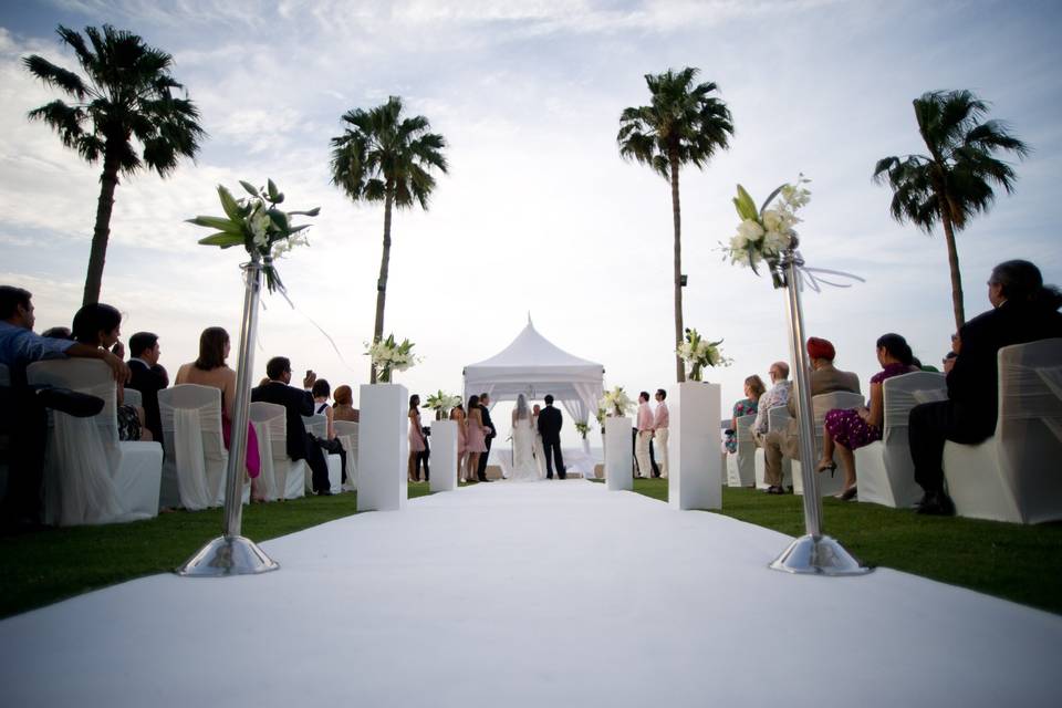 Tara m. Events