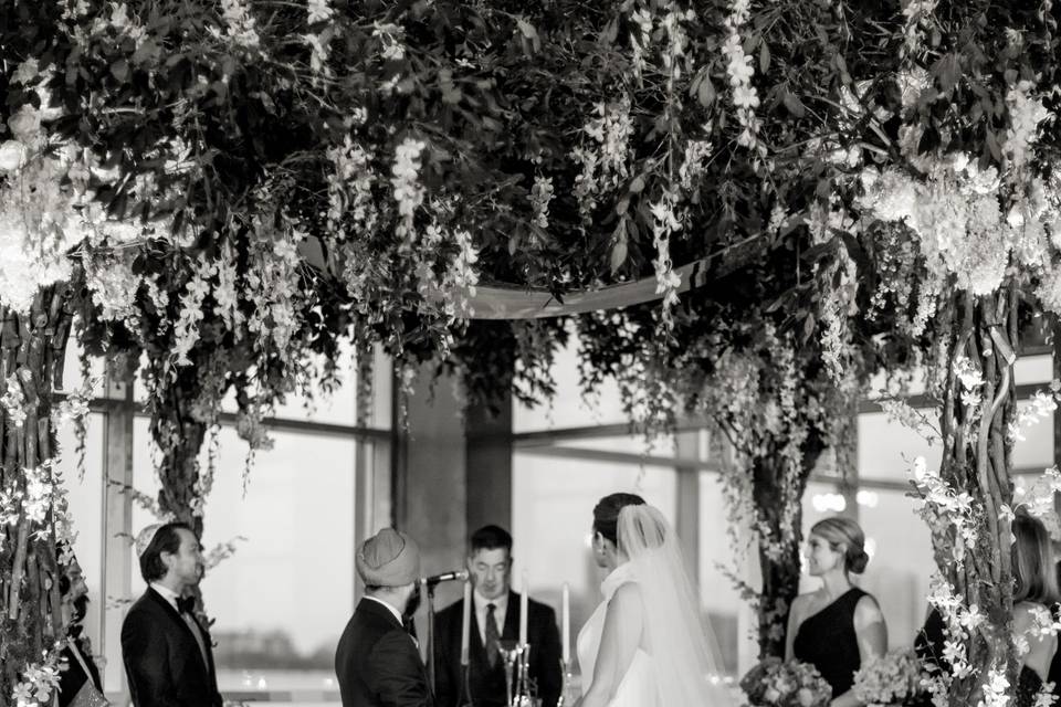 Tara m. Events