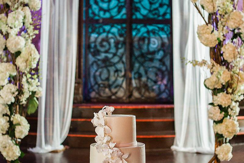 Tara m. Events