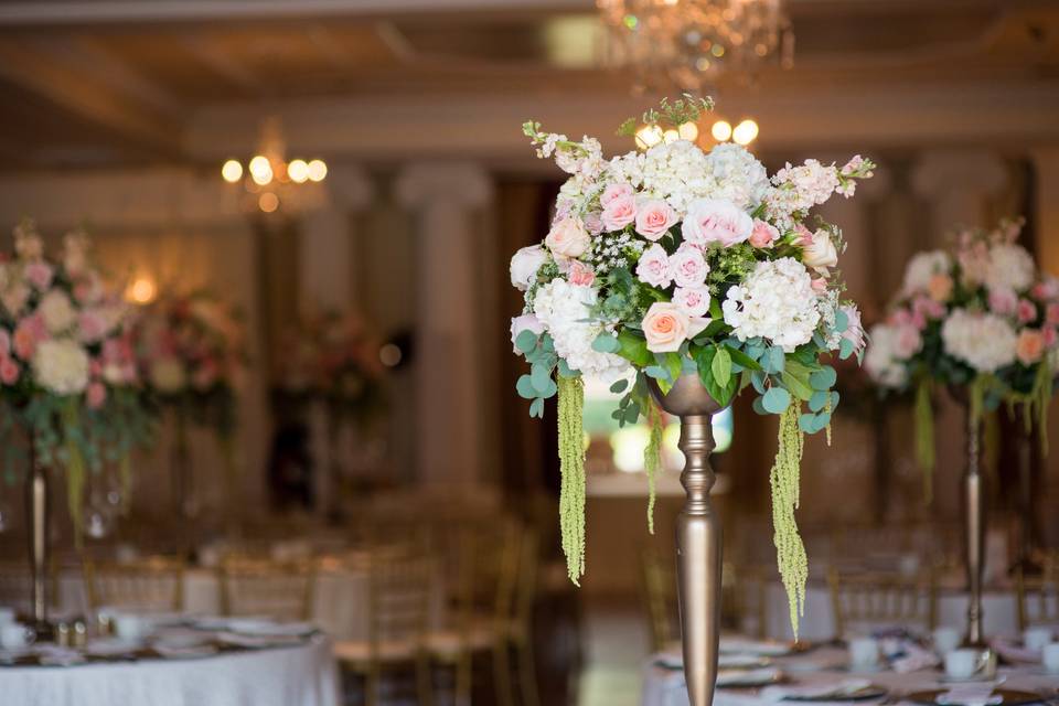 Tara m. Events