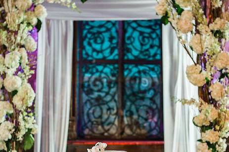 Tara m. Events