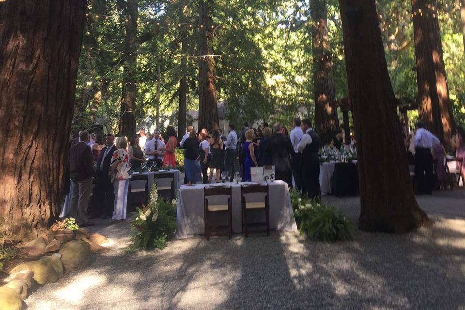 Groom and bride with their officiant