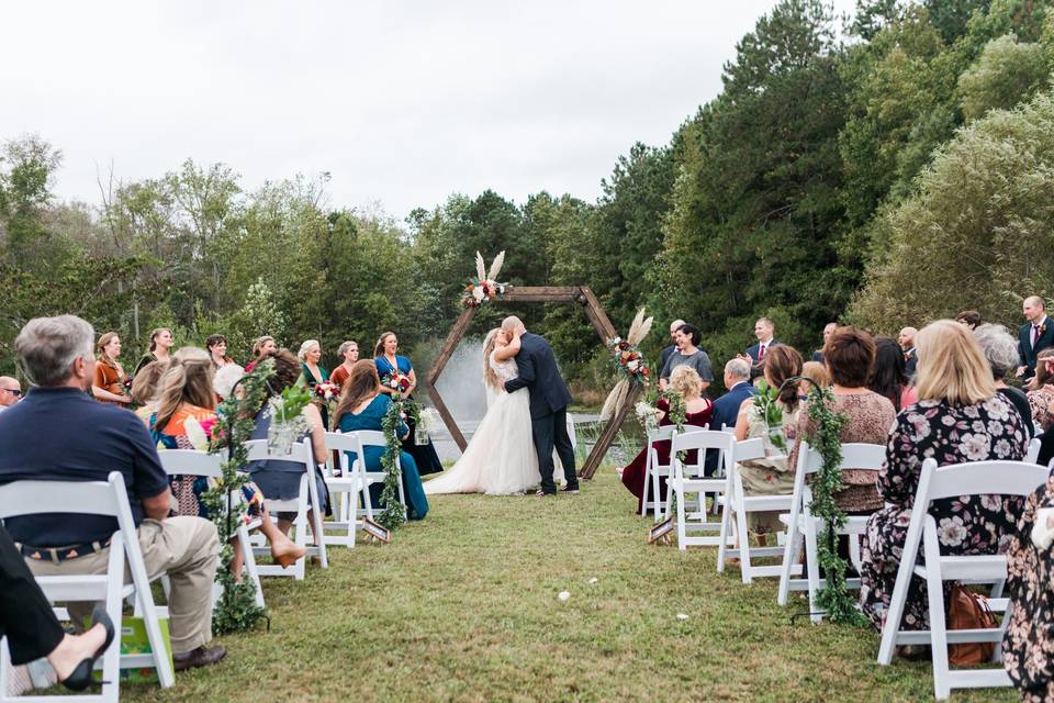 Pups admire the Bride!