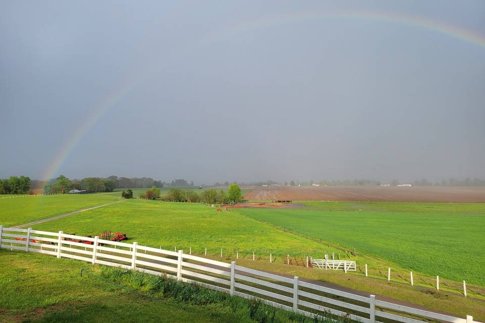 Serenity Farm