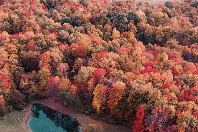 Photo by Nathan Rogers
