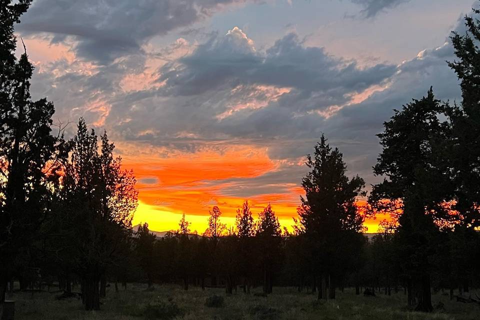 The Red Tail Ranch