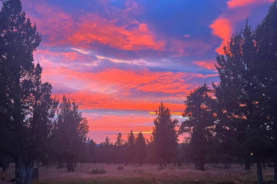 The Red Tail Ranch
