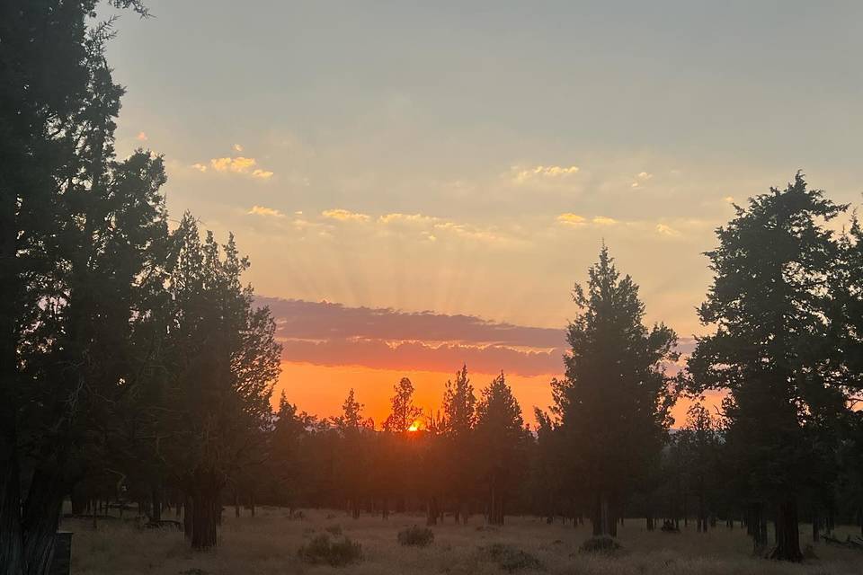 The Red Tail Ranch