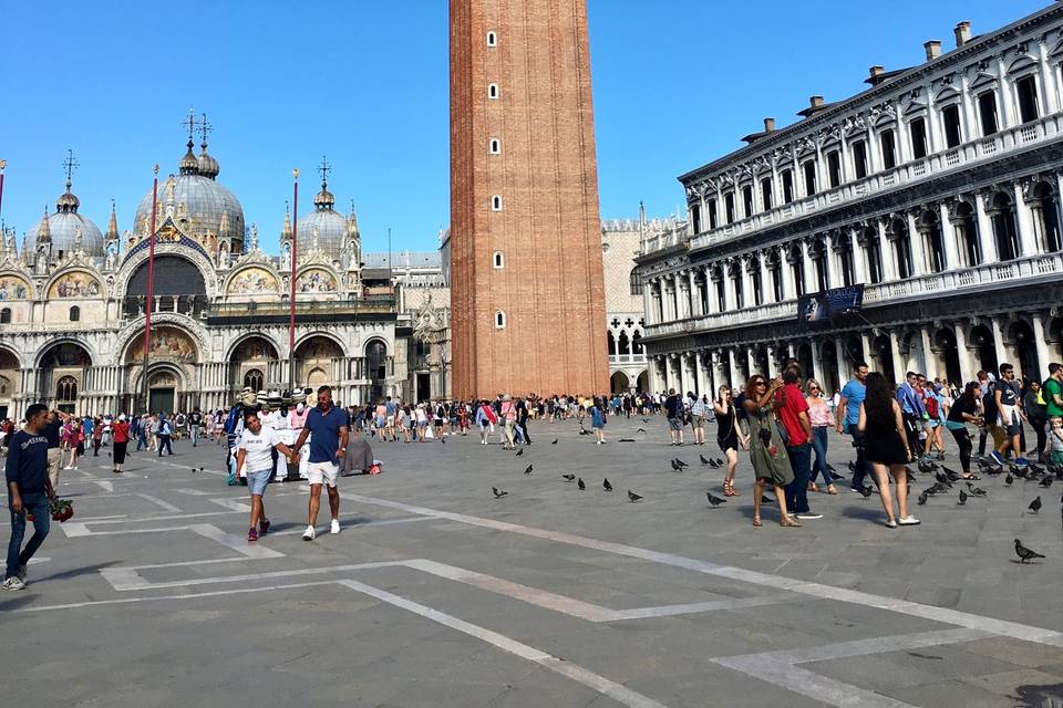 Venice St Mark's Square