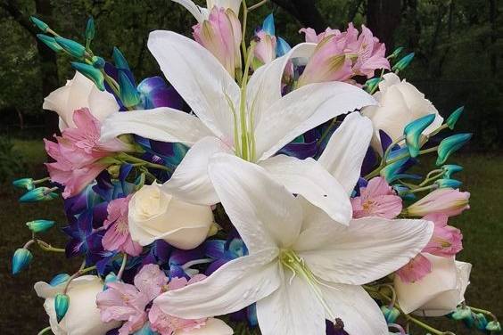 Cascading bride's bouquet of purple/blue orchids, white lilies, cream roses, and pink alstromeria