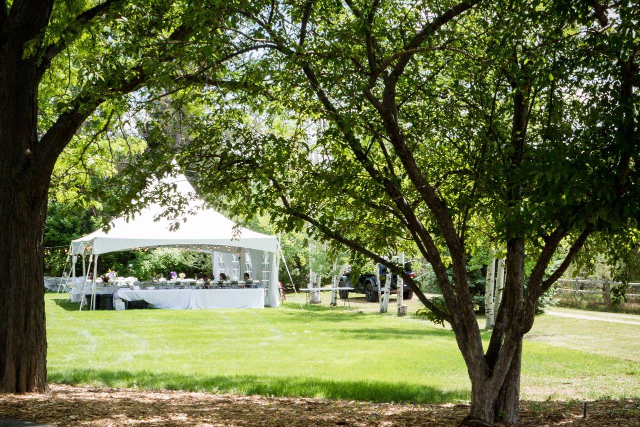 Avalon Arbor Vineyard and Event Venue - Winery Weddings - Fort Collins ...