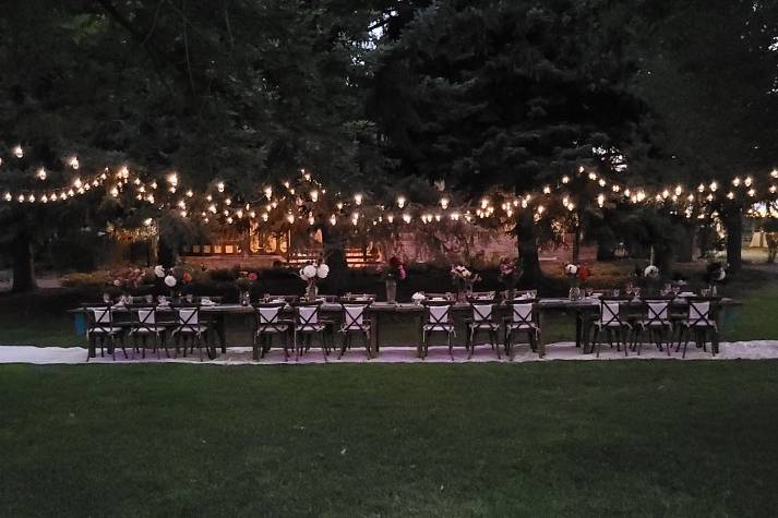 Avalon Arbor Vineyard and Event Venue