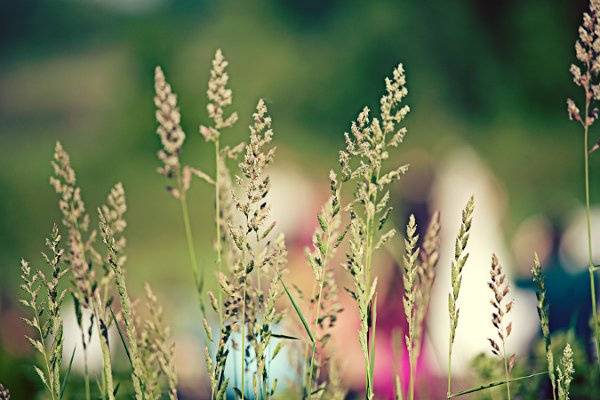 Rejoy Photography