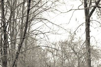 Rejoy Photography