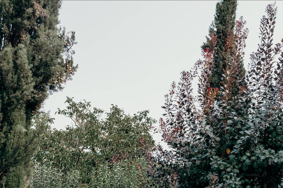 Yarely & Israel -Santa Rosa CA