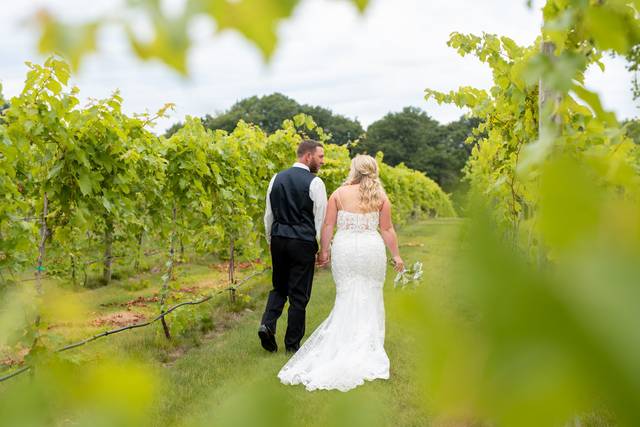 7 Vines Vineyard