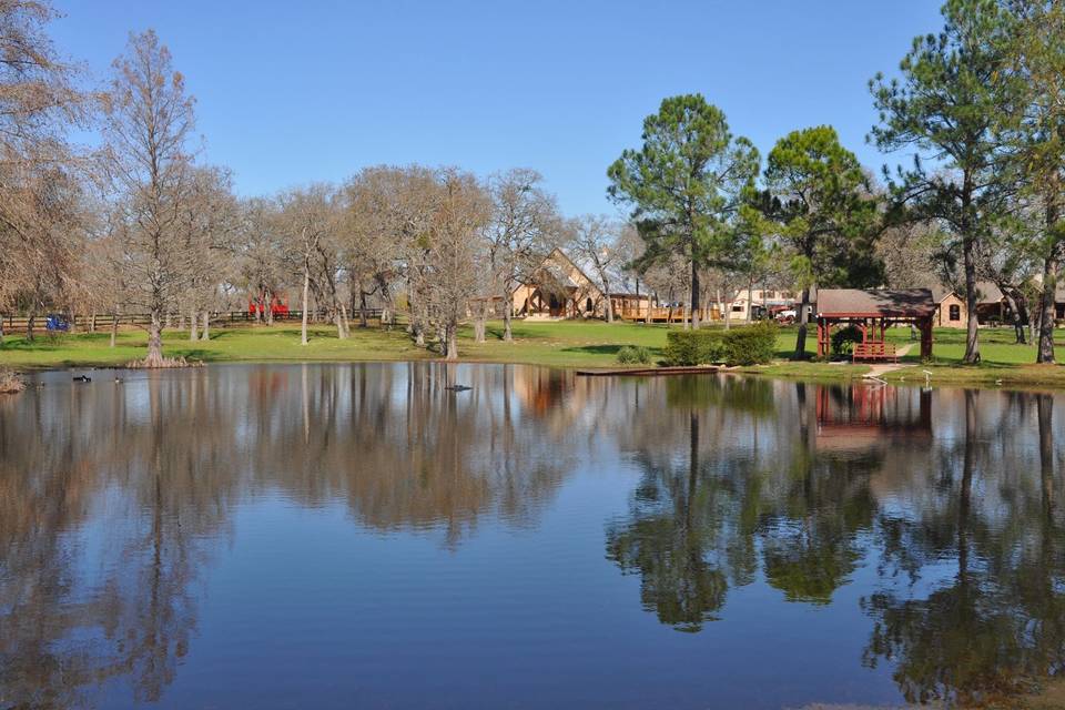 Serene pond