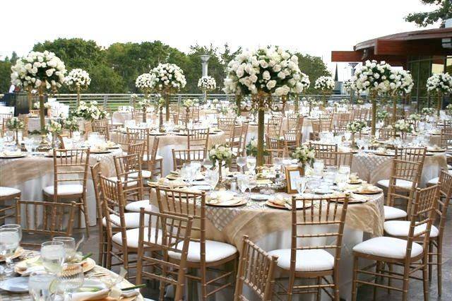 Chiavari Chairs huge inventory and industry low prices.