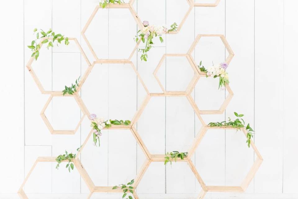 Honeycomb Backdrop