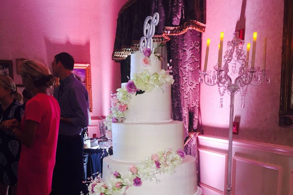 Platinum DJ Entertainment & Lighting