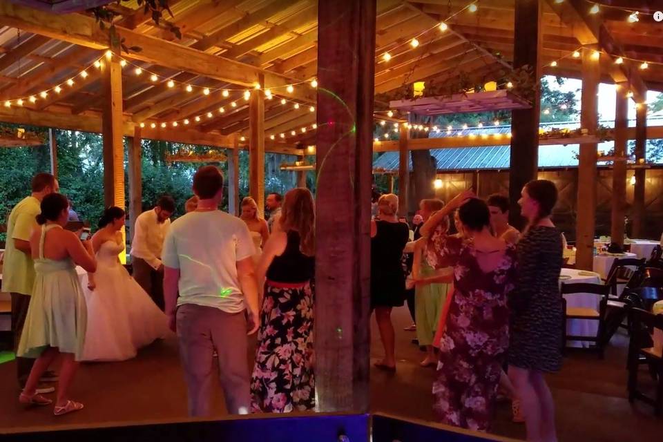 Platinum DJ Entertainment & Lighting
